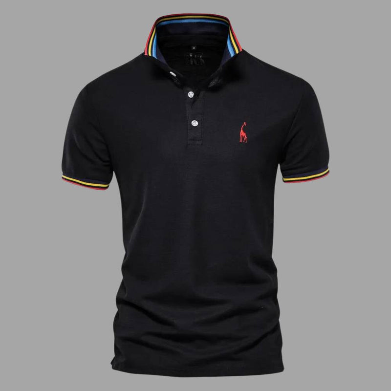 Camisa Polo Multicolor